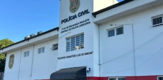 Pássaros silvestres ganham a liberdade após ação da Polícia Civil
