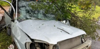 Perda de controle resulta em colisão contra árvores em Bragança Paulista