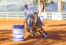 2ª Etapa do 4º Campeonato de Cavalo Quarto de Milha será neste sábado em Bragança Paulista