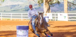 2ª Etapa do 4º Campeonato de Cavalo Quarto de Milha será neste sábado em Bragança Paulista