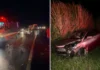 Acidente deixa uma mulher morta e três vítimas na Rodovia Alkindar Monteiro Junqueira