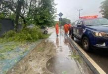 Defesa Civil registra 81 mm de chuva em dois dias em Bragança Paulista