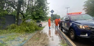 Defesa Civil registra 81 mm de chuva em dois dias em Bragança Paulista