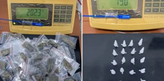 Indivíduo é preso em flagrante por tráfico de drogas em Bom Jesus dos Perdões