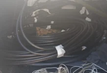 Ladrões de cabos telefônicos são presos por furto na Rodovia Benevenuto Moretto