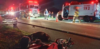 Motociclista morre após colisão com capivara e envolvimento de três veículos em rodovia de Bragança Paulista