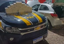 Operação da PRF na Fernão Dias flagra carro “batedor” e apreende grande carga de cocaína