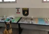 Operação da Polícia Civil com apoio do cão Airon apreende drogas em Bragança Paulista