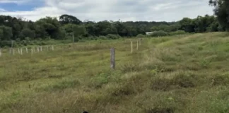 Operação do Dia Mundial da Água identifica áreas degradadas em Atibaia e Perdões