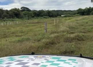 Operação do Dia Mundial da Água identifica áreas degradadas em Atibaia e Perdões