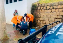 Pedestre de 54 anos fica ferido após atropelamento na Avenida dos Imigrantes