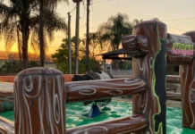 Touro mecânico anima edição especial da Feira Noturna no Posto de Monta