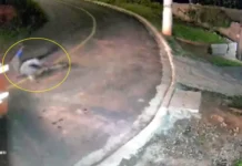 Tragédia na madrugada: ciclista não sobrevive após colisão com ônibus