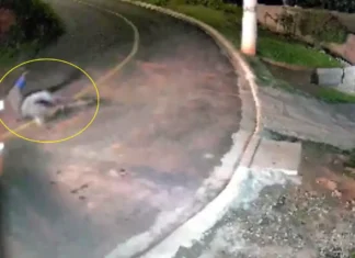 Tragédia na madrugada: ciclista não sobrevive após colisão com ônibus