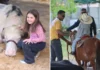Comportamento animal e bem-estar em destaque na Fazendinha do Posto de Monta