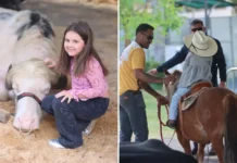 Comportamento animal e bem-estar em destaque na Fazendinha do Posto de Monta