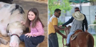 Comportamento animal e bem-estar em destaque na Fazendinha do Posto de Monta