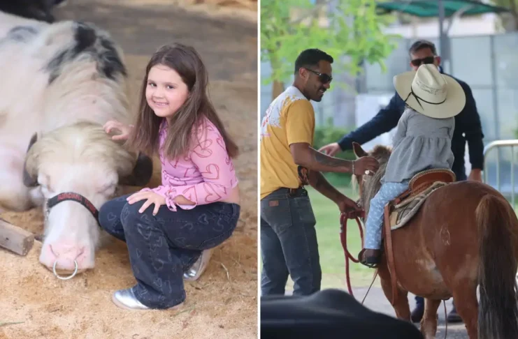 Comportamento animal e bem-estar em destaque na Fazendinha do Posto de Monta