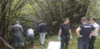 Corpo é encontrado em área de mata em Vargem; caso é investigado
