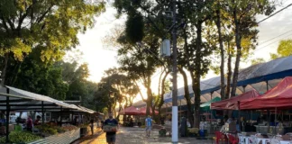 Feiras têm mudanças temporárias durante Expoagro e Festa do Peão em Bragança