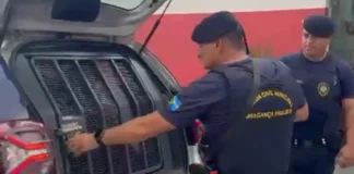 Homem de 40 anos é preso por descumprir medida protetiva e causar pânico em adolescente de 13 anos