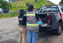 Mais de 150 kg de produtos de origem animal são apreendidos em fiscalização em Bragança Paulista