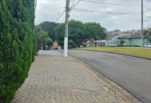 Manutenção de calçadas e terrenos é obrigação dos proprietários, diz Prefeitura