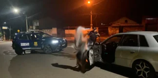 Motorista embriagado colide com viatura da GCM durante atendimento de ocorrência