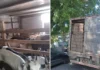 Policiamento Rodoviário flagra transporte irregular de animais e detém motorista por maus-tratos