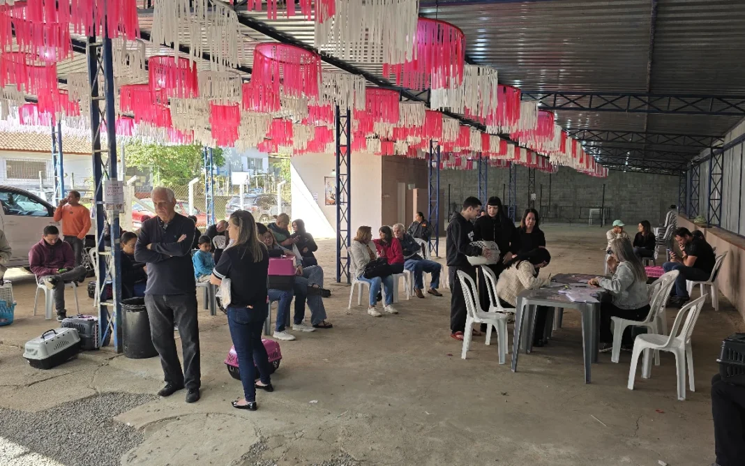Castramóvel realiza atendimento gratuito no Bom Retiro dos Bacci e região