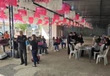 Castramóvel realiza atendimento gratuito no Bom Retiro dos Bacci e região