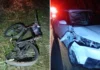 Ciclista morre após colisão com carro em rodovia