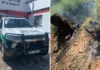 Homem é detido por queimada ilegal e destruição de vegetação em área de preservação em Nazaré Paulista