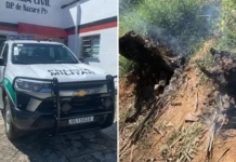 Homem é detido por queimada ilegal e destruição de vegetação em área de preservação em Nazaré Paulista