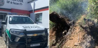 Homem é detido por queimada ilegal e destruição de vegetação em área de preservação em Nazaré Paulista