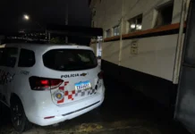 Homem se entrega à polícia após matar, esquartejar e espalhar partes do corpo em Amparo
