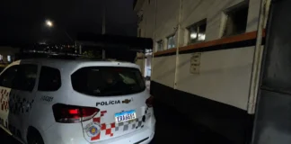 Homem se entrega à polícia após matar, esquartejar e espalhar partes do corpo em Amparo