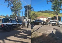 Mulher é brutalmente agredida em tentativa de feminicídio em Vargem; suspeito segue foragido