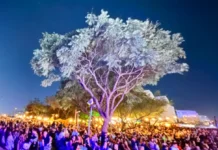 Música na Árvore leva shows gratuitos ao Lago do Taboão neste sábado