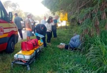 Pedestre fica gravemente ferida após atropelamento em rodovia