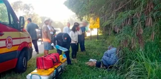 Pedestre fica gravemente ferida após atropelamento em rodovia