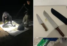 Polícia civil prende homem por homicídio e ocultação de cadáver em Amparo