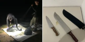 Polícia civil prende homem por homicídio e ocultação de cadáver em Amparo