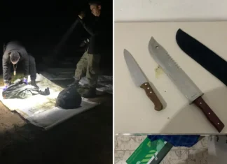 Polícia civil prende homem por homicídio e ocultação de cadáver em Amparo