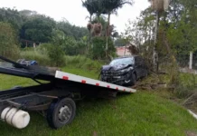 Veículo atinge coqueiro após motorista perder o controle na Rodovia Padre Aldo Bolini