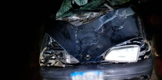 Boi morre após ser atropelado em Piracaia; acidente deixa passageiro ferido