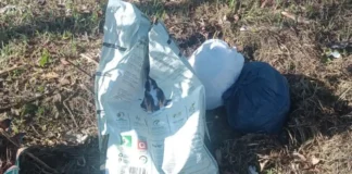 Além da vida, o respeito: cachorro morto é encontrado jogado em saco em praça