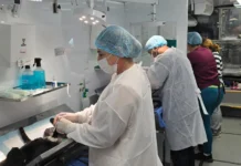 Bragança Paulista terá castração gratuita de cães e gatos nos dias 24 e 25 de junho