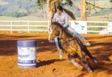 Bragança sedia final do 4º Campeonato de Cavalo Quarto de Milha no Posto de Monta