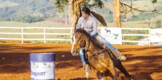 Bragança sedia final do 4º Campeonato de Cavalo Quarto de Milha no Posto de Monta
